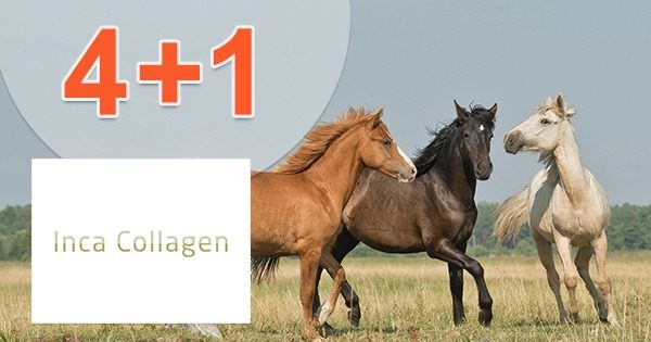 Akcia 4+1 ZADARMO na balíček na IncaCollagen.sk
