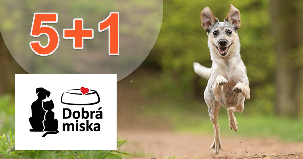 Akcia 5+1 na Dobra-miska.sk